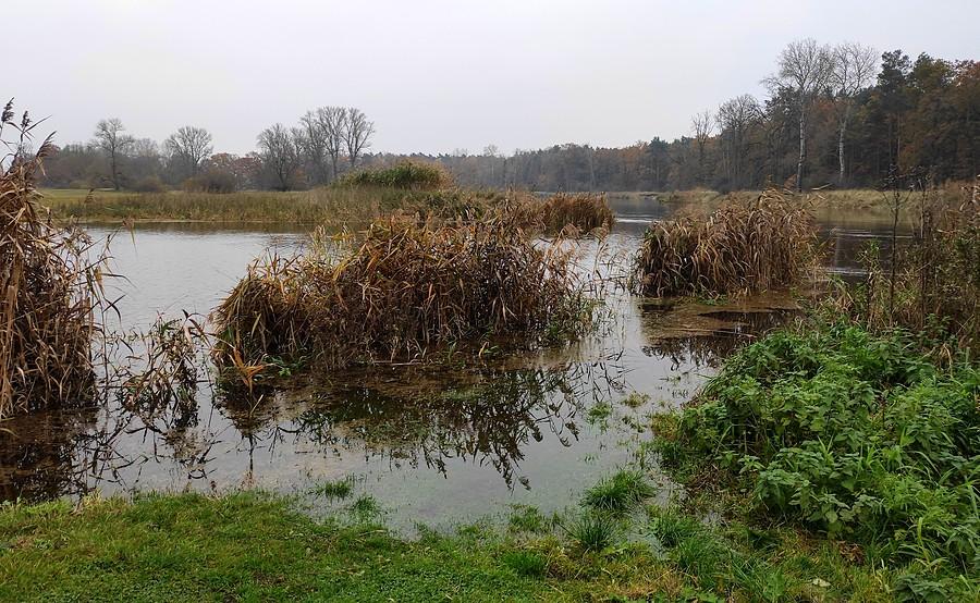 Rozlewisko Warrty, Port Radzewice