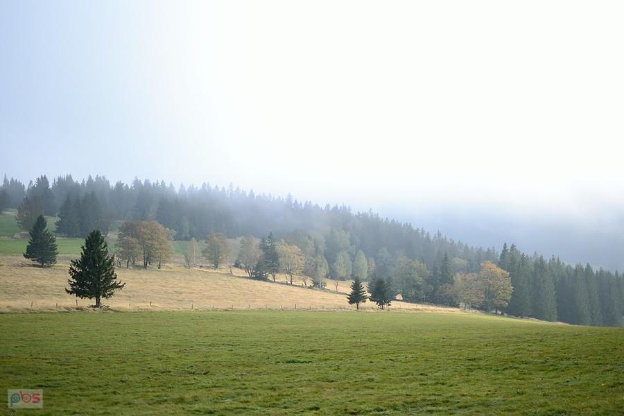 Masyw Śnieżnika - Marcinków