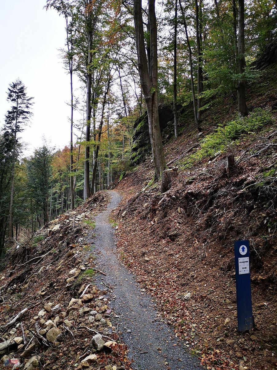 Singletrack Glacensis - Pętla Międzygórze