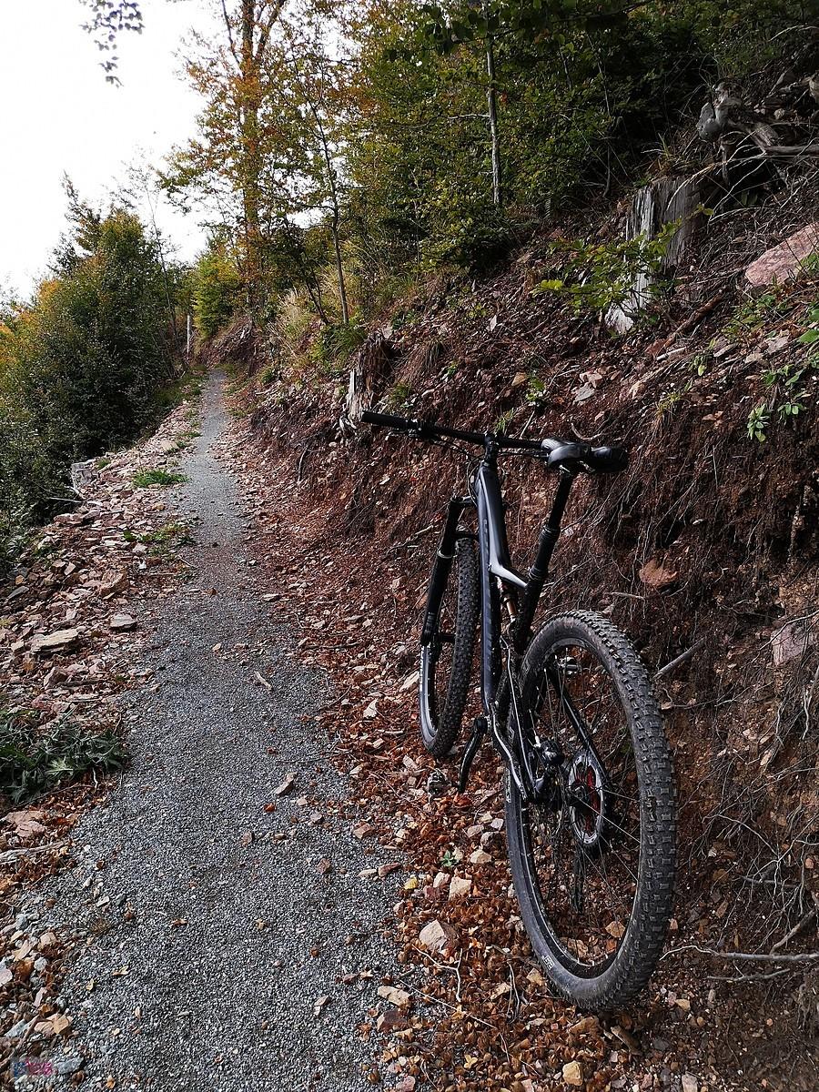 Singletrack Glacensis & Specialized Rumor