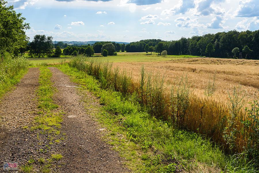Myszków - Będusz, ulica Żeliwsławska