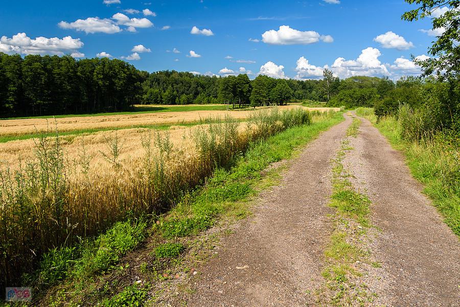 Myszków - Będusz, ulica Żeliwsławska - droga za mną