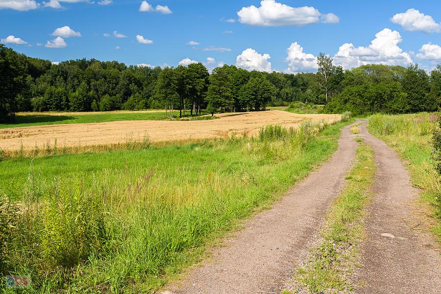 Myszków - Będusz, ulica Żeliwsławska - droga za mną
