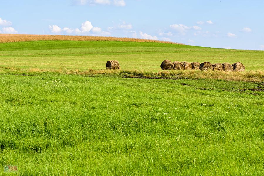 Kazimierzów - część wsi Żelisławice