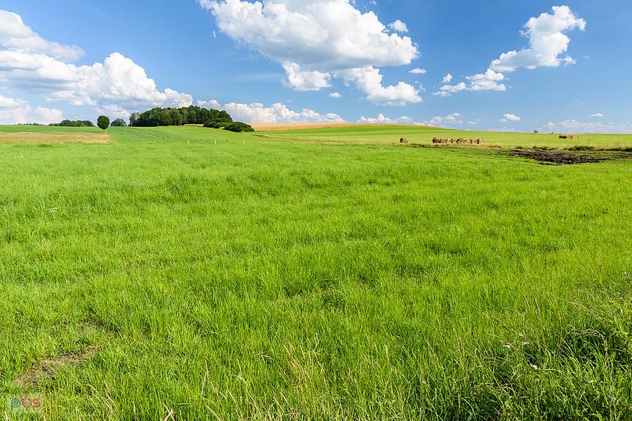 Kazimierzów - część wsi Żelisławice