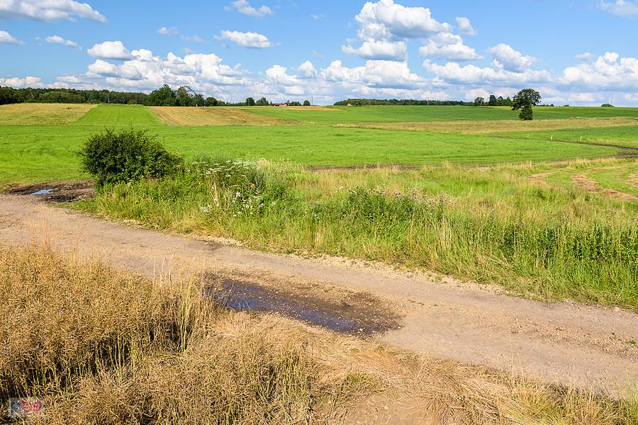 Kazimierzów - część wsi Żelisławice