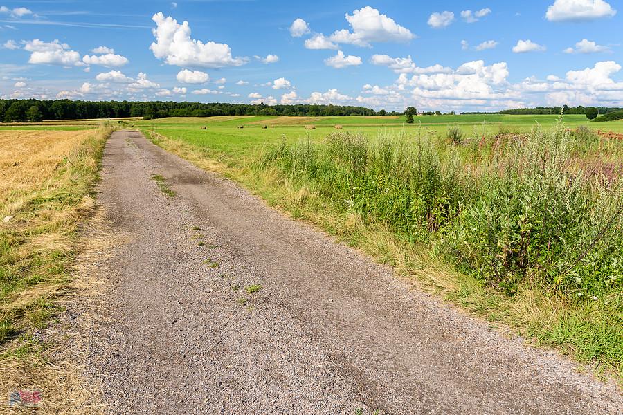 Kazimierzów - część wsi Żelisławice - droga za plecami