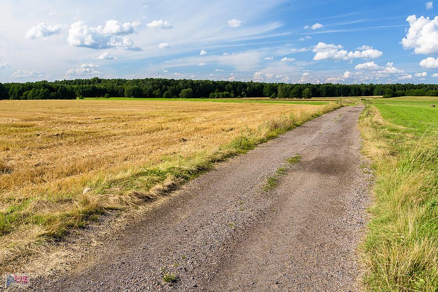 Kazimierzów - część wsi Żelisławice - droga za plecami