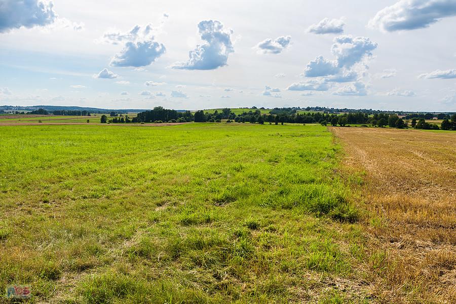 Kazimierzów - część wsi Żelisławice