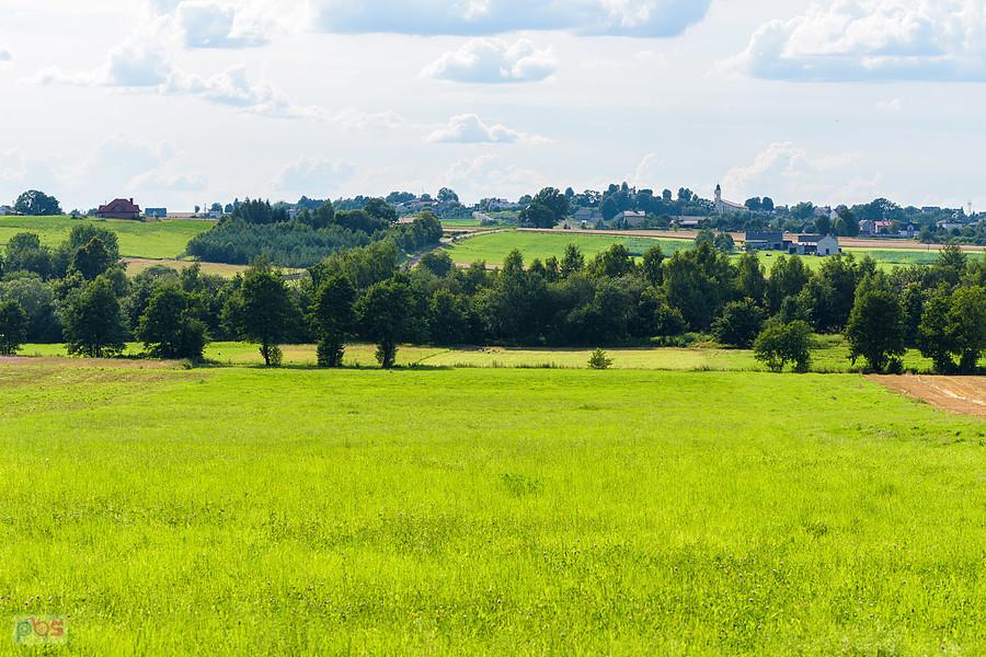 Kazimierzów - część wsi Żelisławice - spojrzenie na zachód