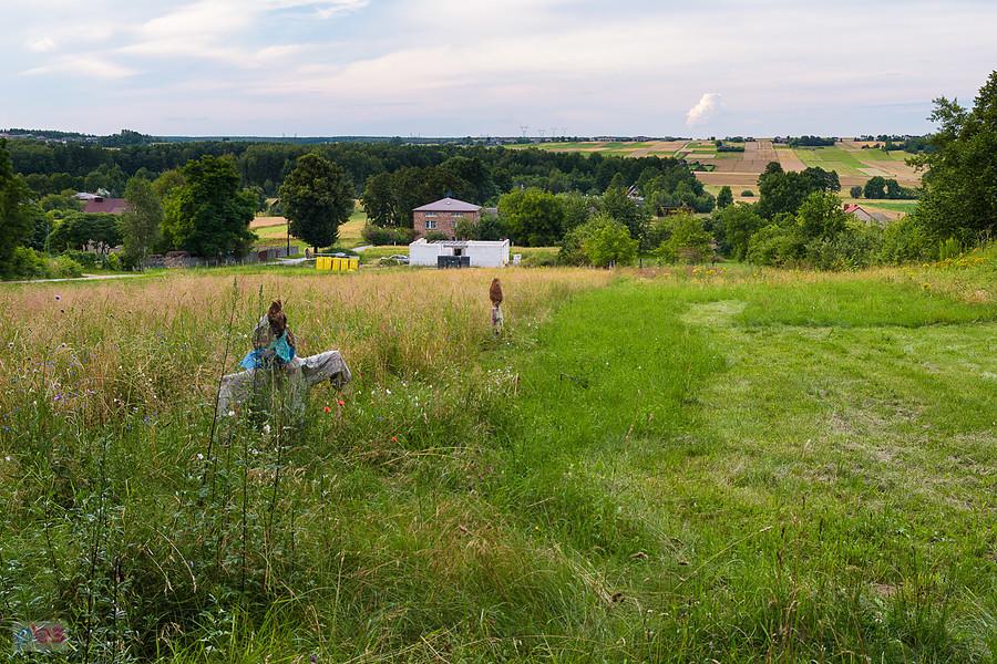 Pod Brudzowice - Dziewki - widok na północ
