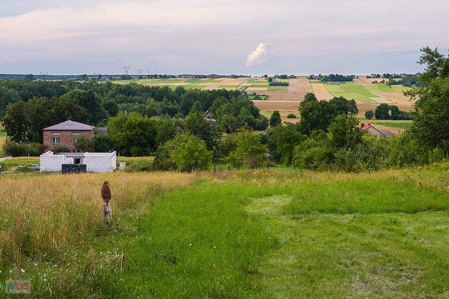 Pod Brudzowice - Dziewki - widok na północ