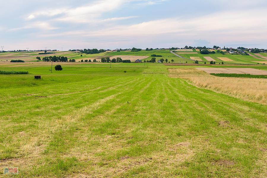 Podrzaże - Nowa Wioska - widok na północ w stronę Pińczyc