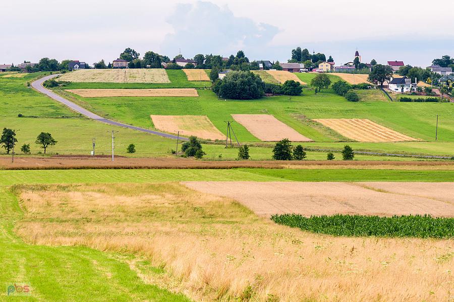 Podrzaże - Nowa Wioska - widok na północ w stronę Pińczyc