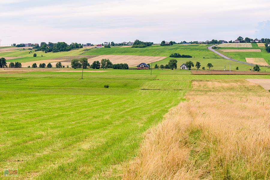 Podrzaże - Nowa Wioska - widok na północ w stronę Pińczyc