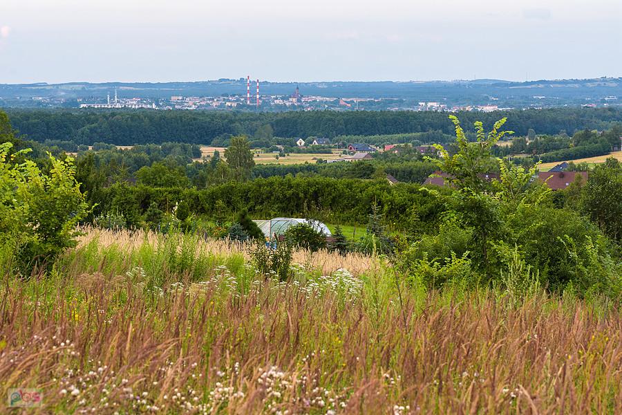 Koclin - widok na Myszków