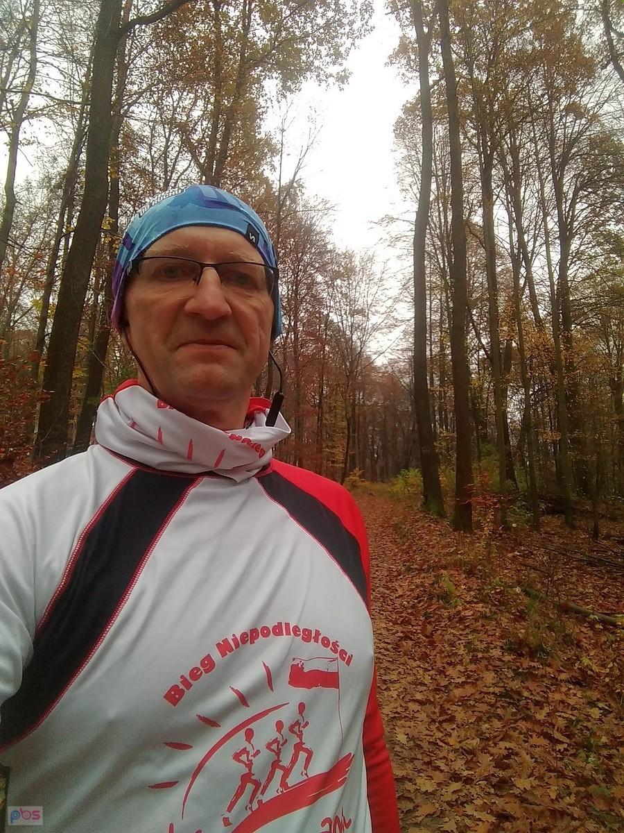 Znów u siebie w lesie