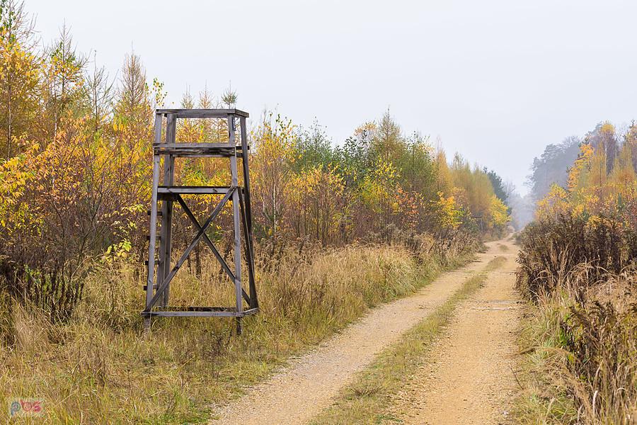 Odcinek przez las pomiędzy Blachownią i Herbami