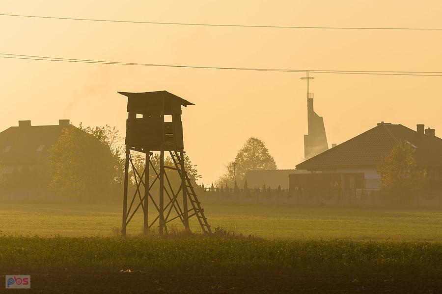 Dwie wieże - Lisów