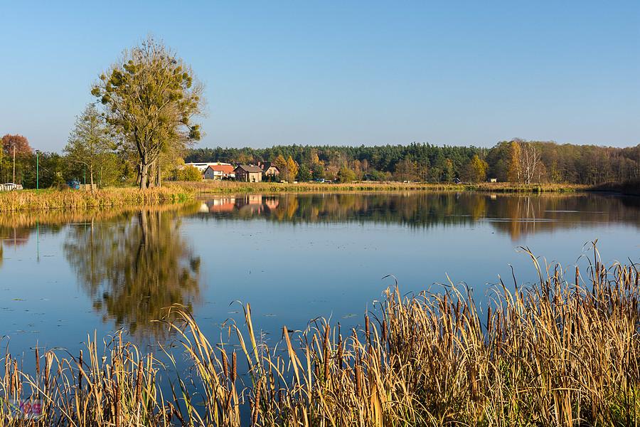 Lisów