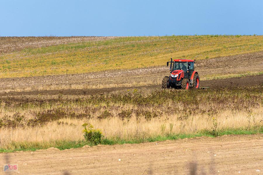 Zetor Proxima HS100 podczas pracy w Lusławicach