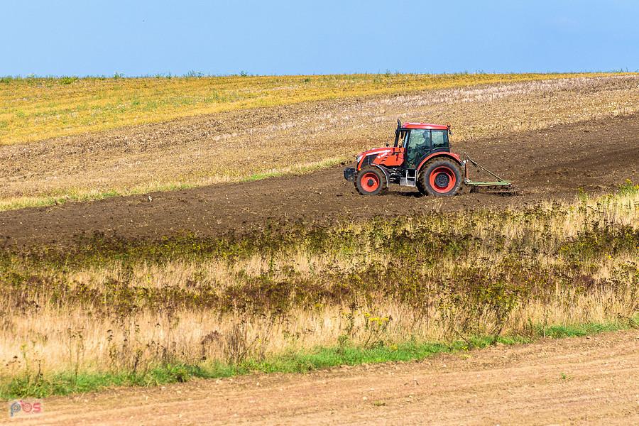 Zetor Proxima HS100 podczas pracy w Lusławicach