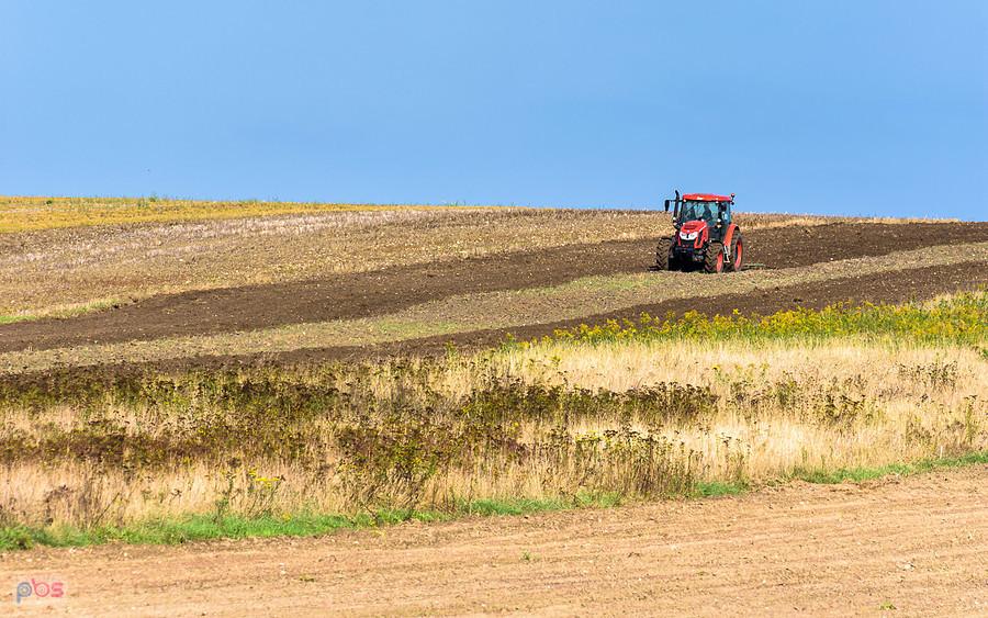 Zetor Proxima HS100 podczas pracy w Lusławicach