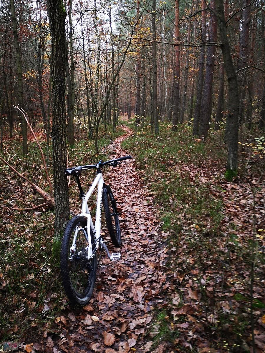 Singletrack w rejonie Grotnik