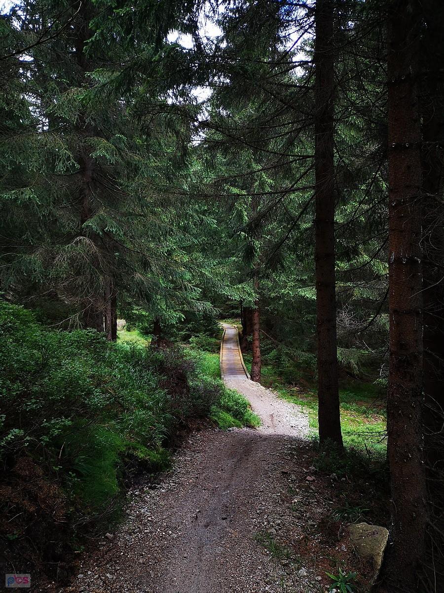 Singletrack Jakuszyce