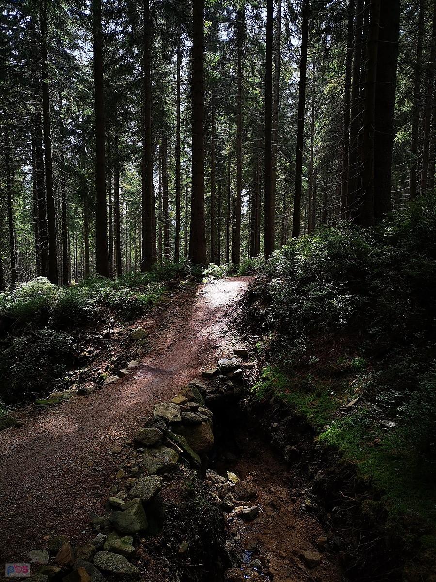 Singletrack Jakuszyce