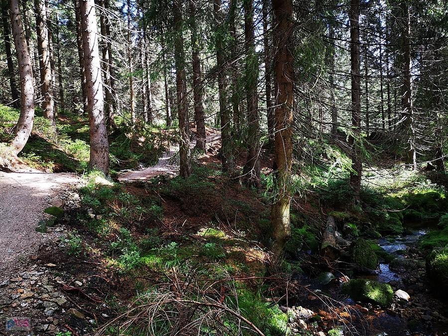 Singletrack Jakuszyce