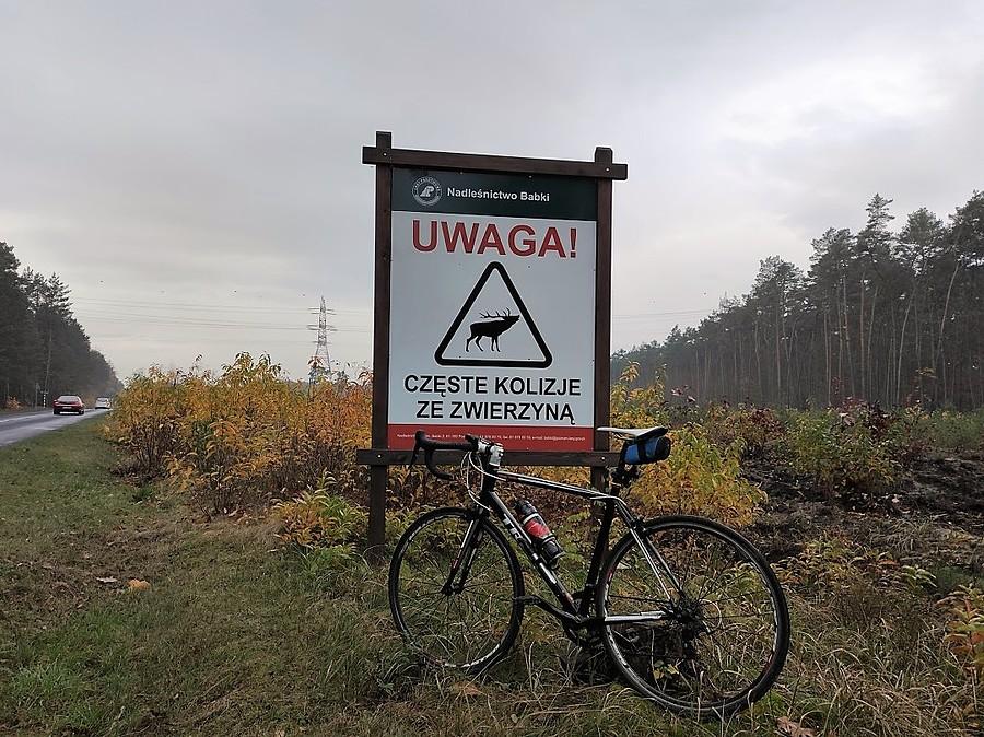 Czarny humor Nadleśnictwa Babki. Dobrze, że nie ostrzegają przed duchami drzew