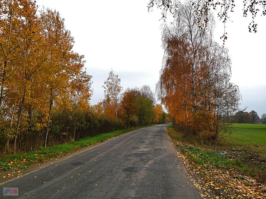 Trasa z Pleszewa