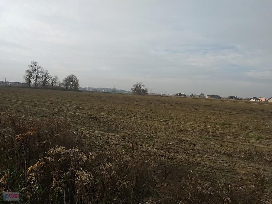 Jesień w polu