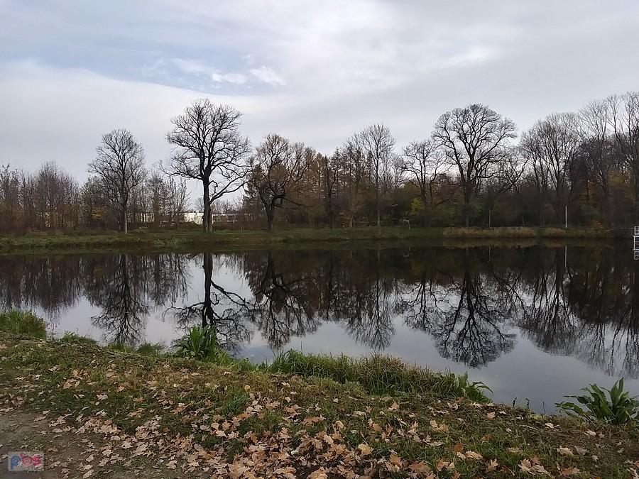 Staw w Ołtarzewie