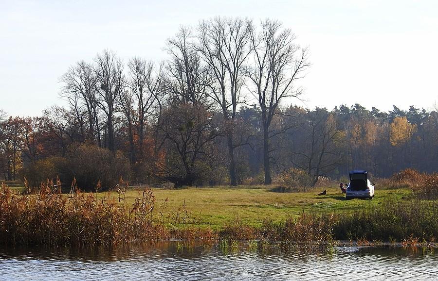Nawet na półwysep się puszką wcisnęli :/, Radzewice