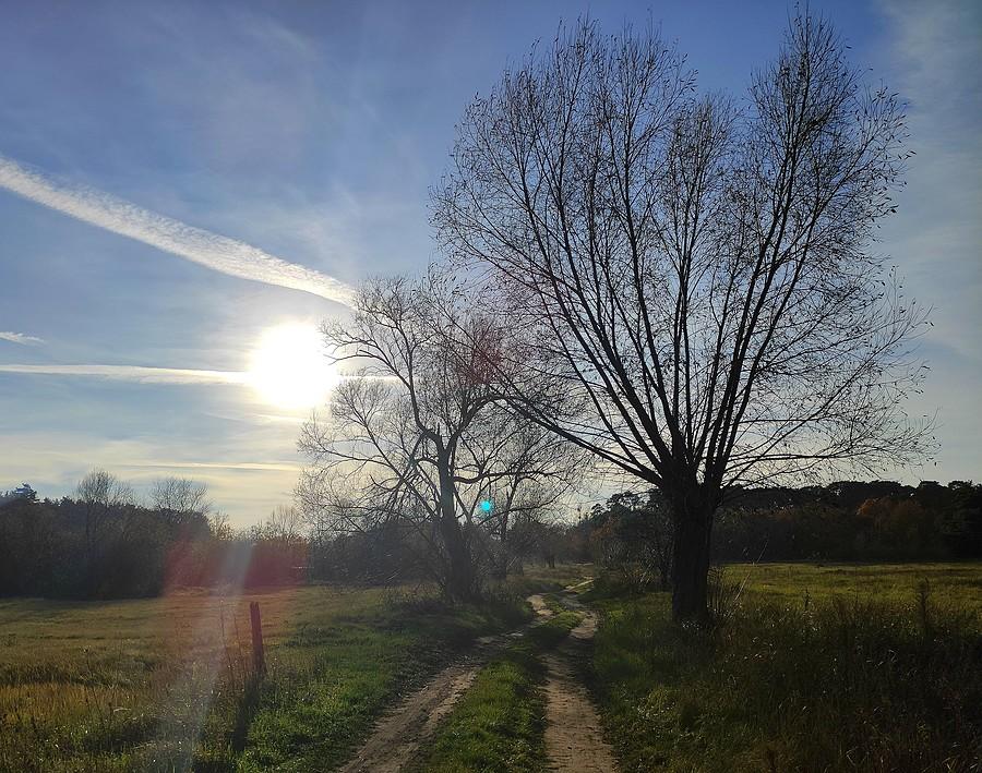 Polna dróżka, Radzewice