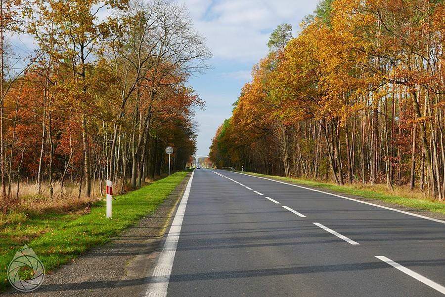 trochę słońca w okolicy Środy Śląskiej