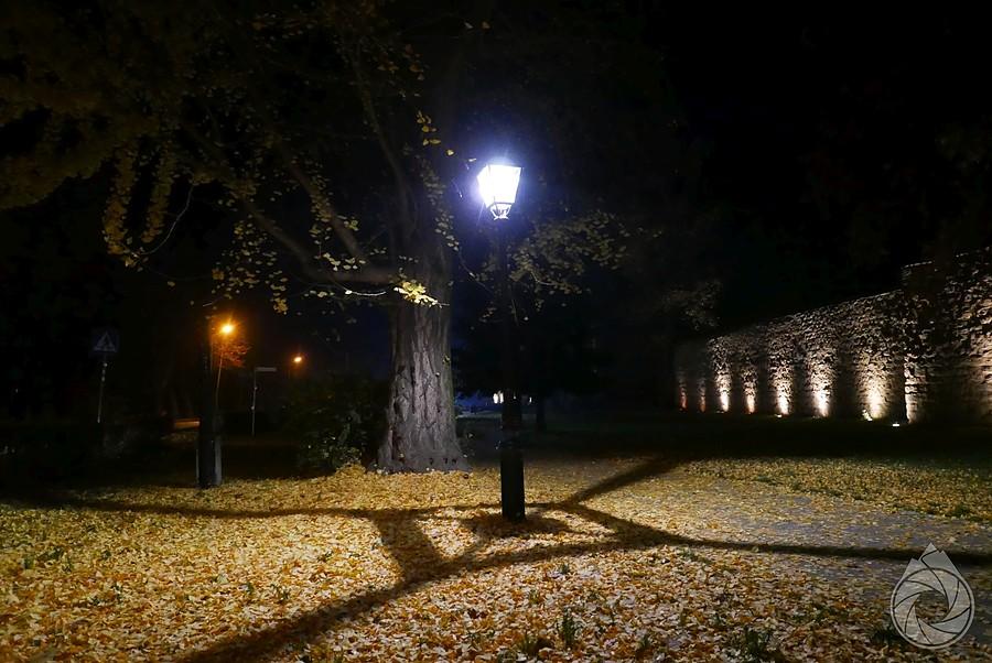 park przydrożny w Lwówku Śląskim (Skwer Piłsudzkiego)