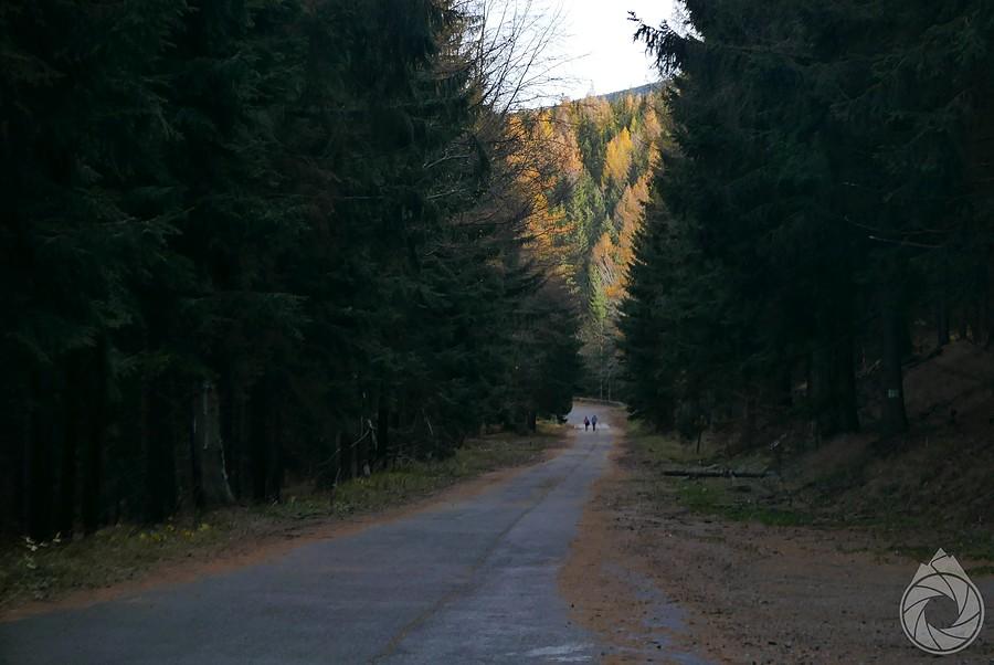 Droga Sudecka jesienią