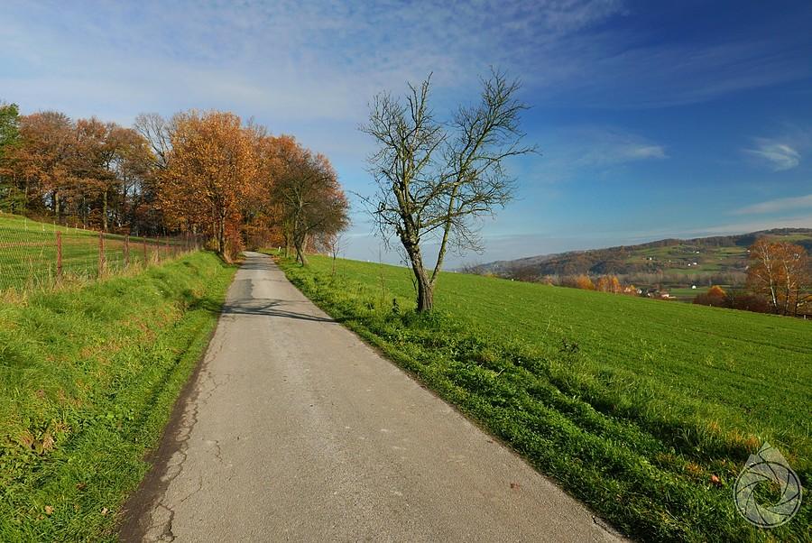nad dolinką, nad Olszynami