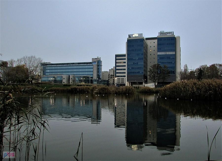 Biurowce nad Stawem Służewieckim