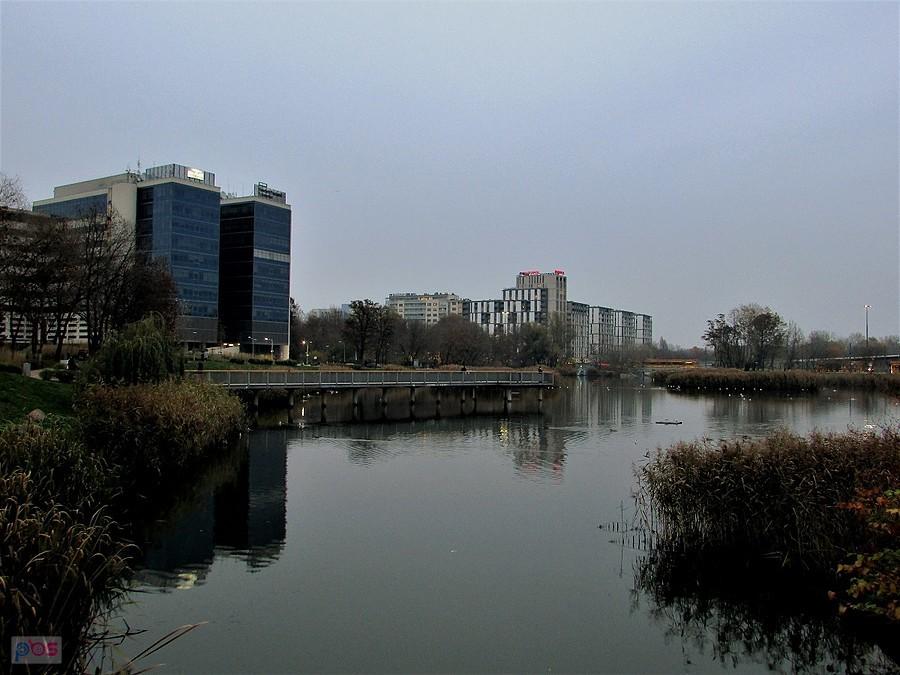 Staw Służewiecki