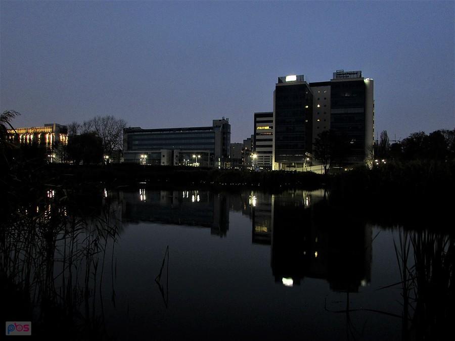 Listopadowy wieczór nad Stawem Służewieckim