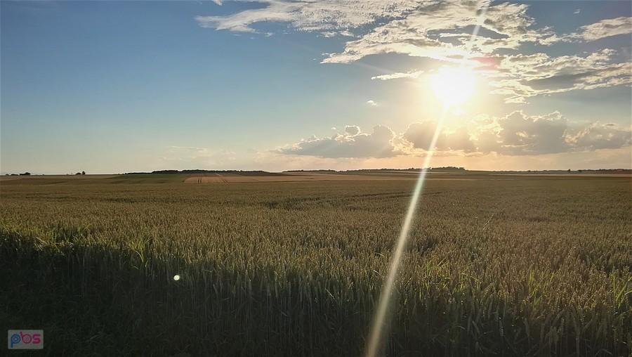 Świetliste refleksy słońca