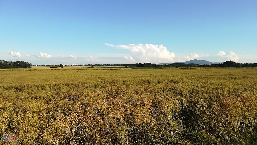 Panorama okolicy z Wojtkowic