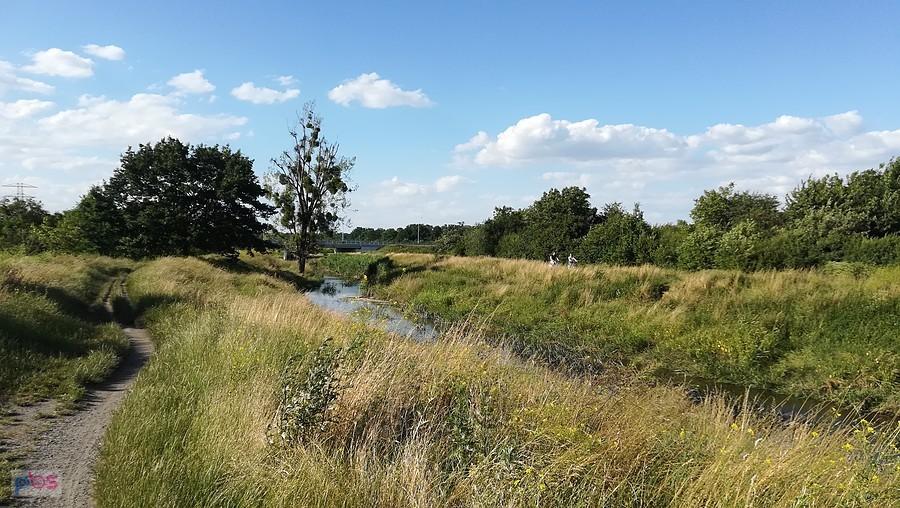 Letnie popołudnie nad Ślęzą