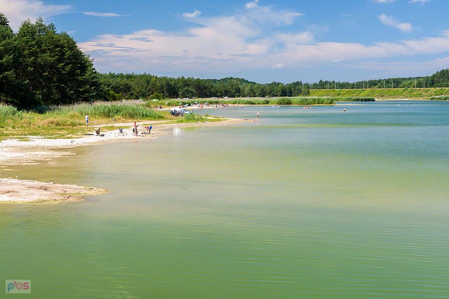 Dzibice