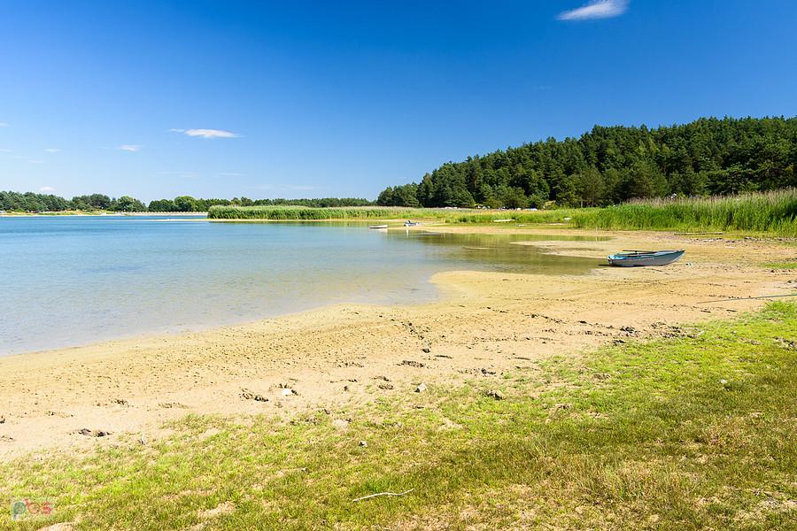 Dzibice