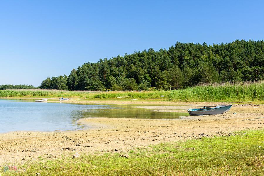 Dzibice